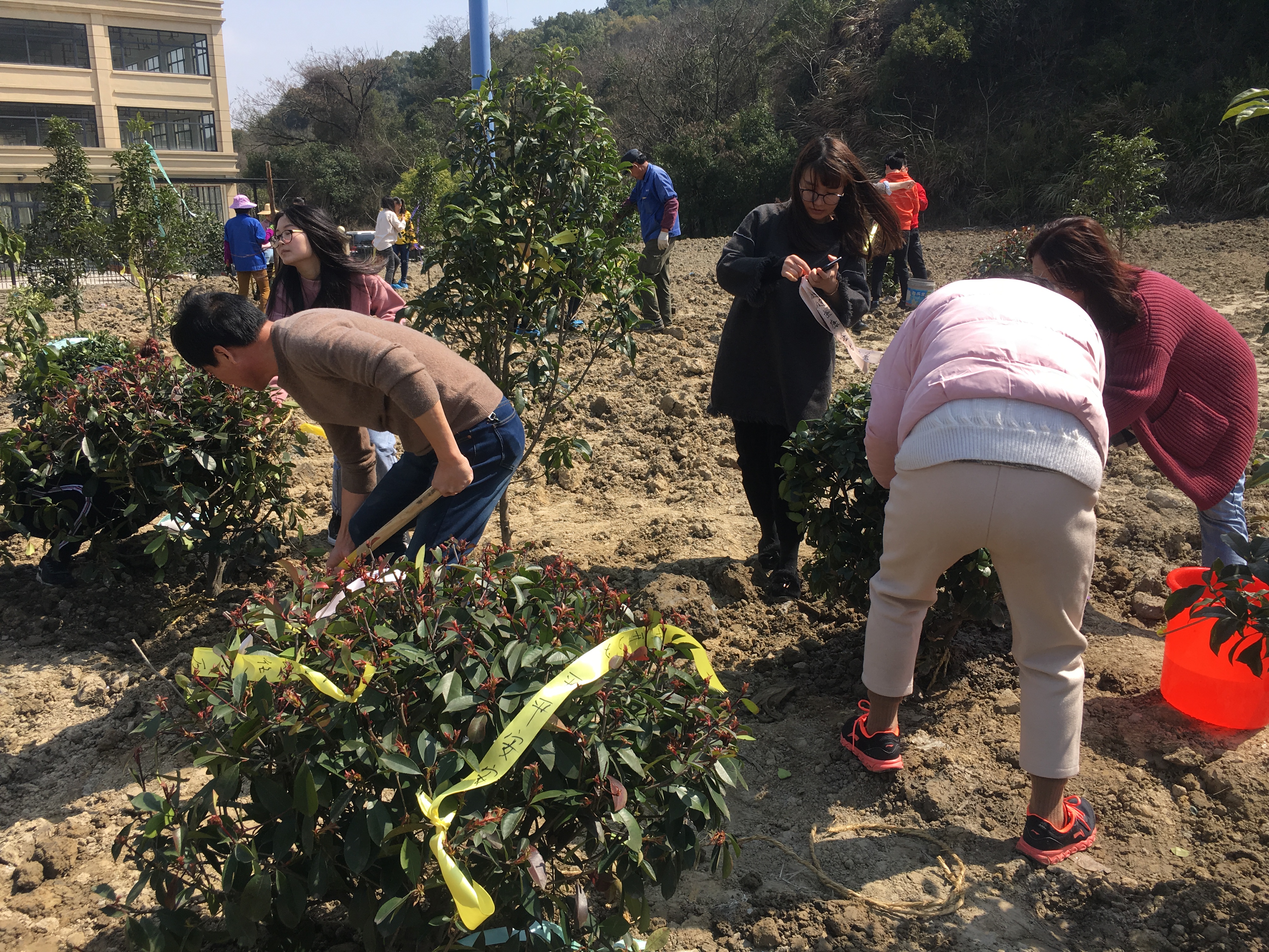 公司部分员工参加植树造林活动