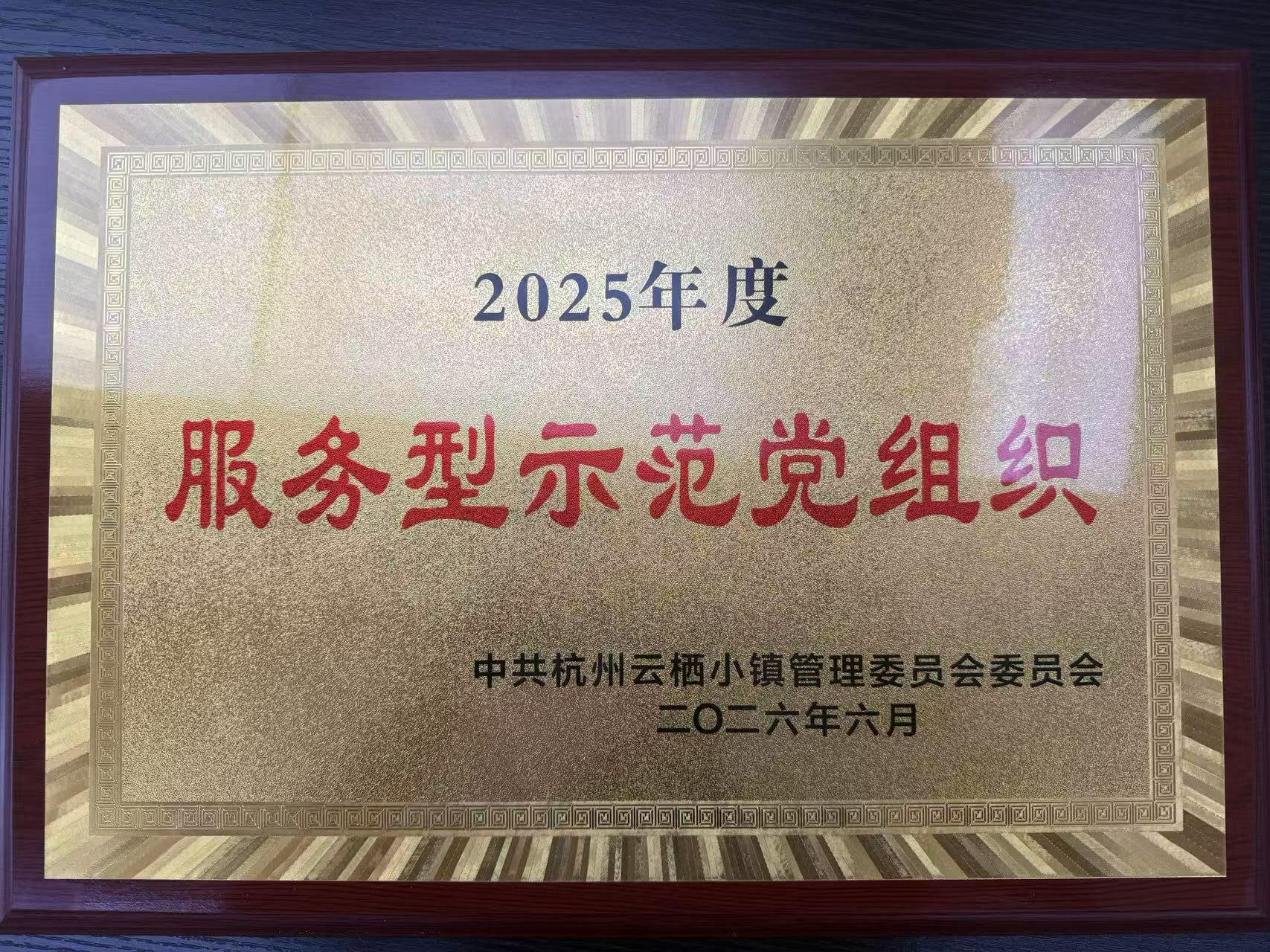 2025年度云栖小镇“服务型示范党组织”