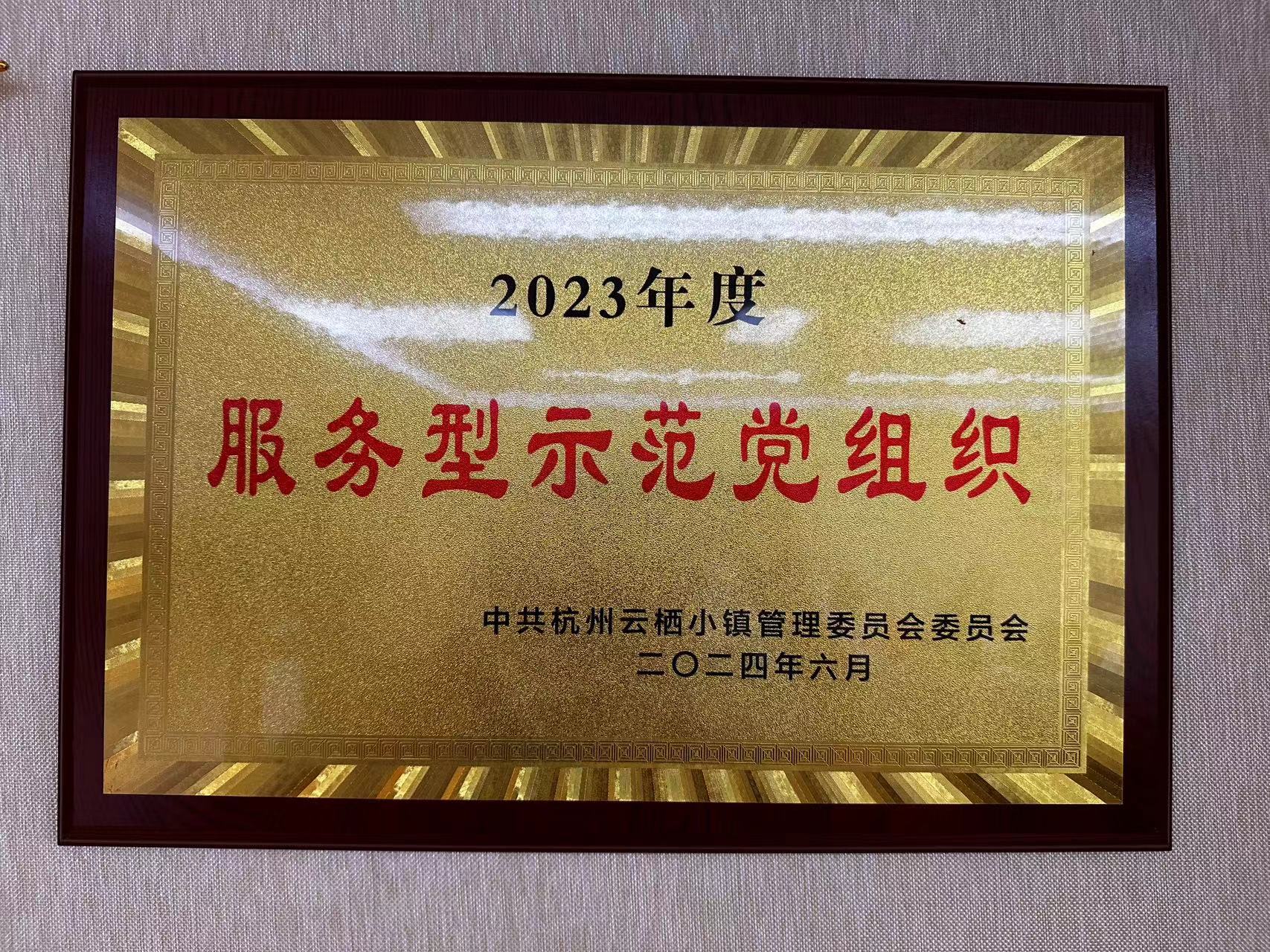2023年度云栖小镇“服务型示范党组织”